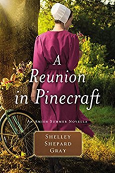 A Reunion in Pinecraft book cover