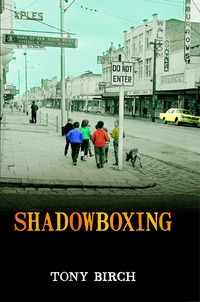 Shadowboxing book cover