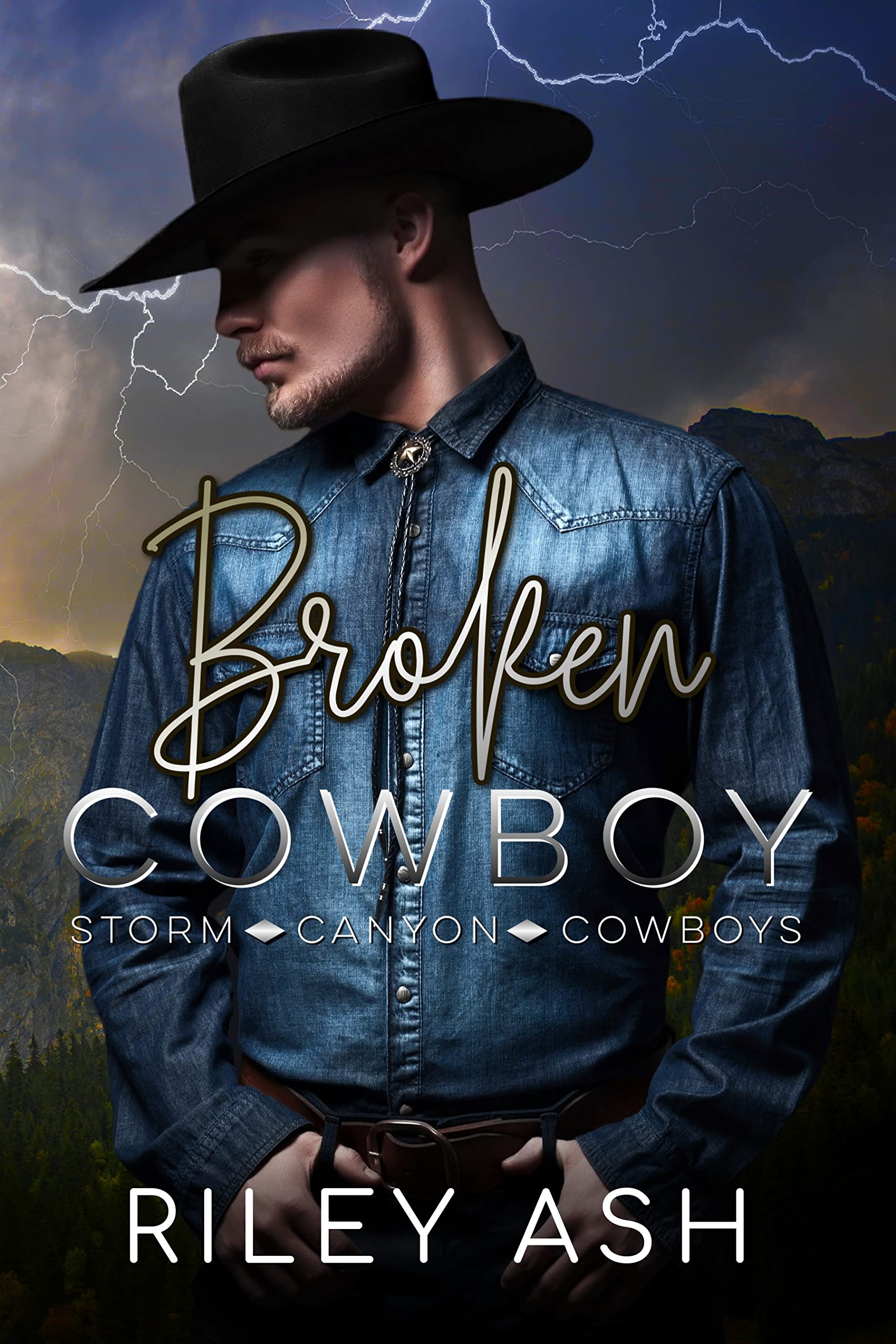 Storm Canyon Cowboys book cover 1