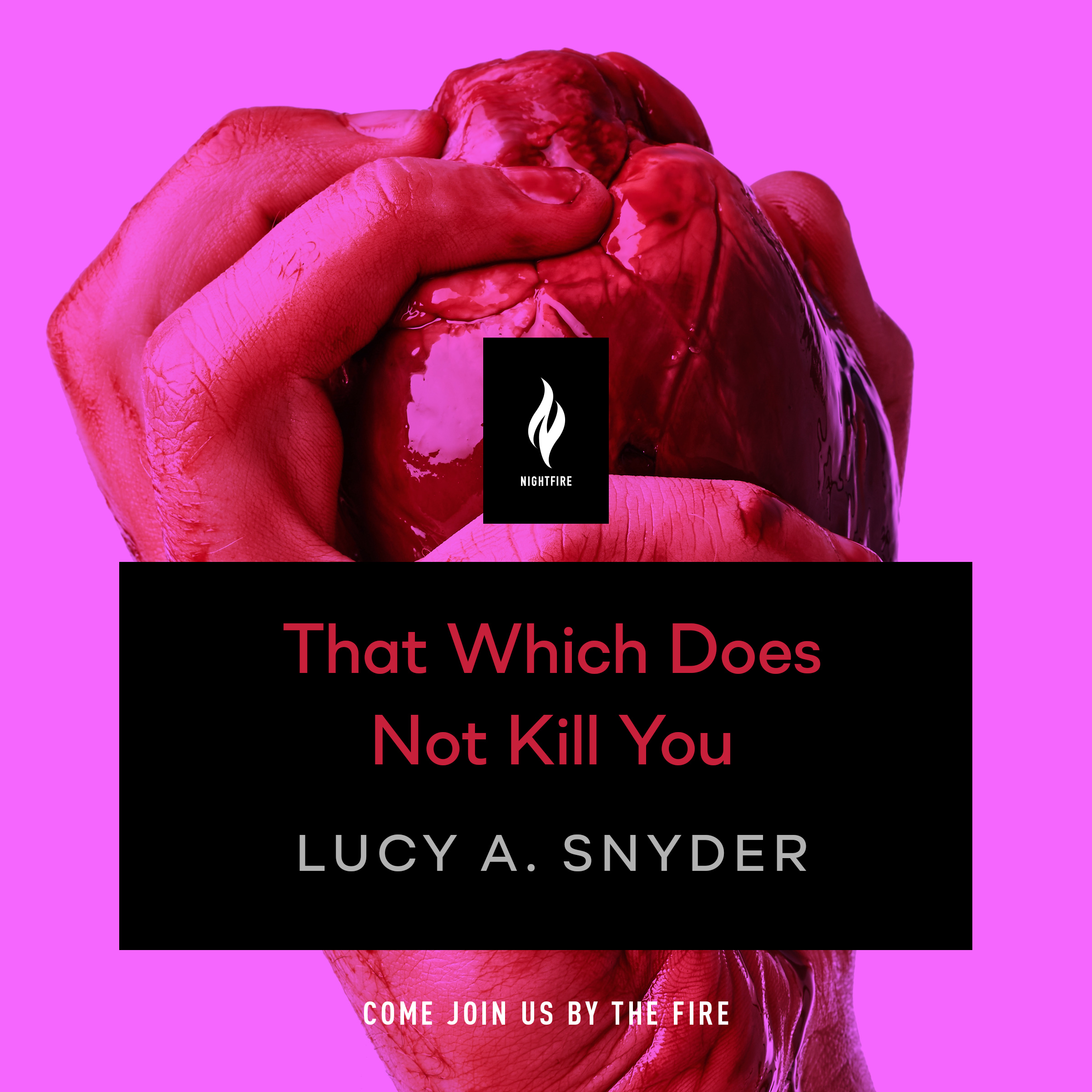 That Which Does Not Kill You book cover