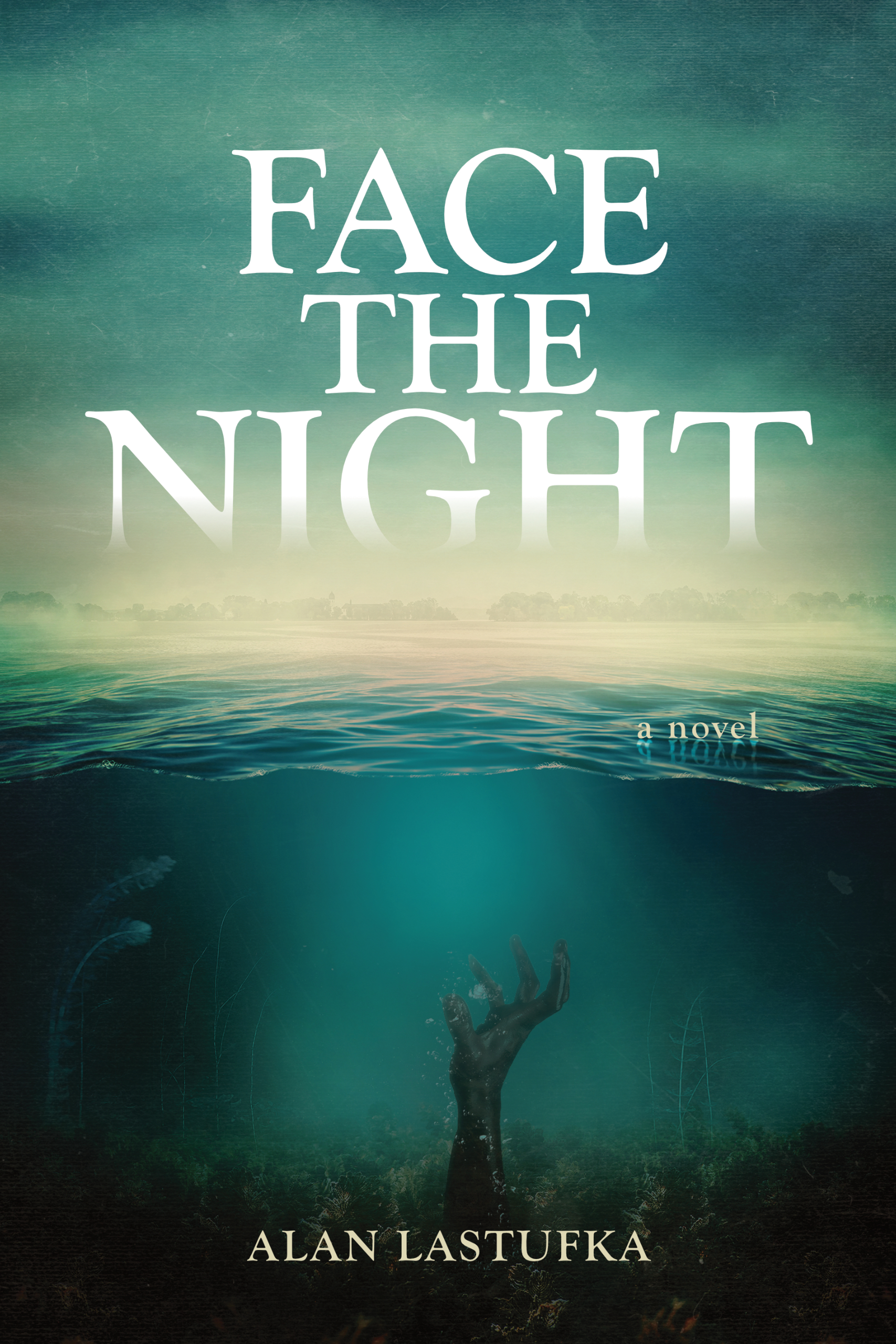 Face the Night book cover