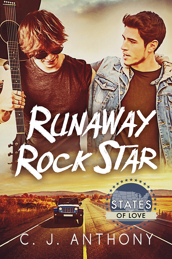 Runaway Rock Star book cover
