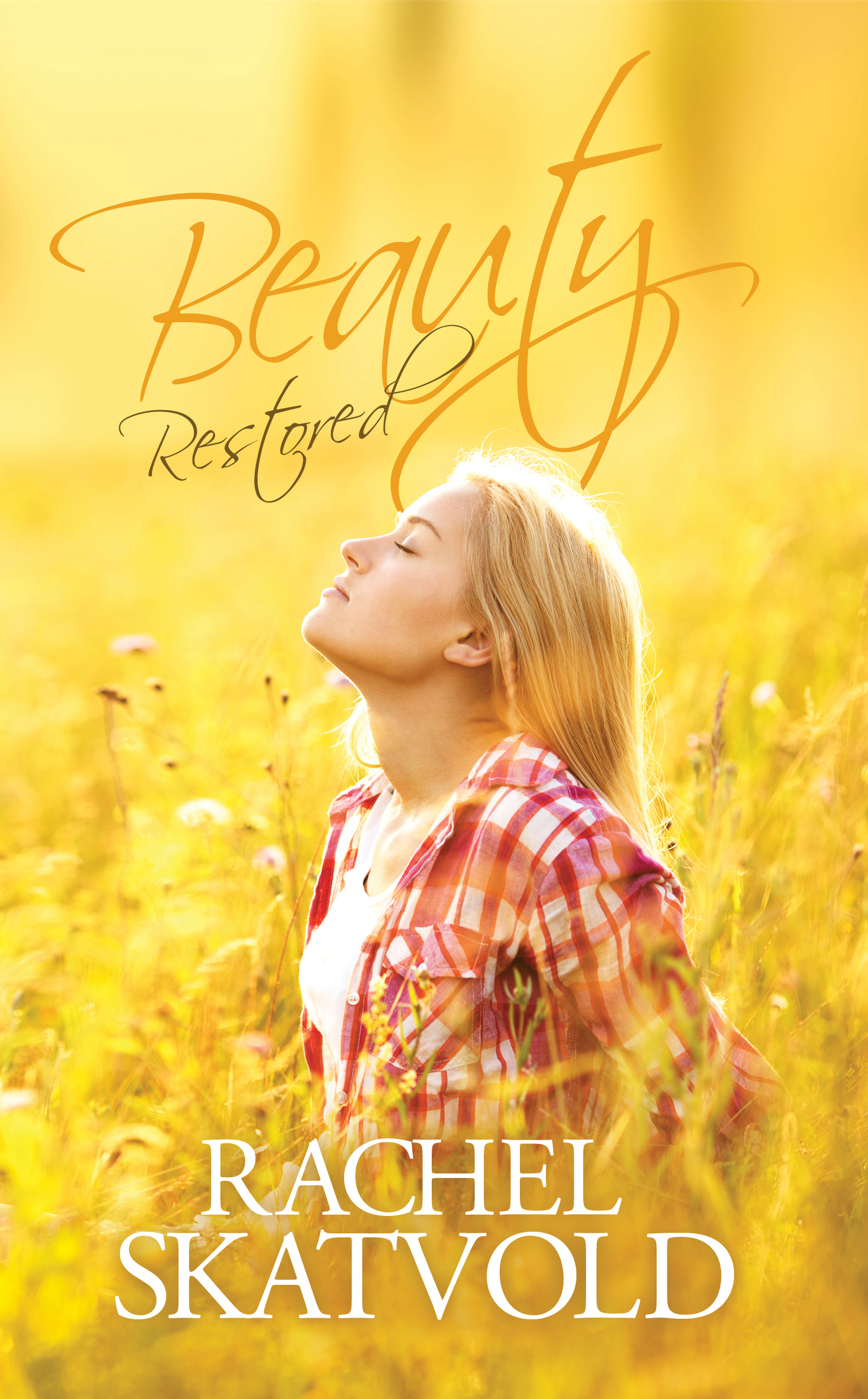Riley Family Legacy book cover 3