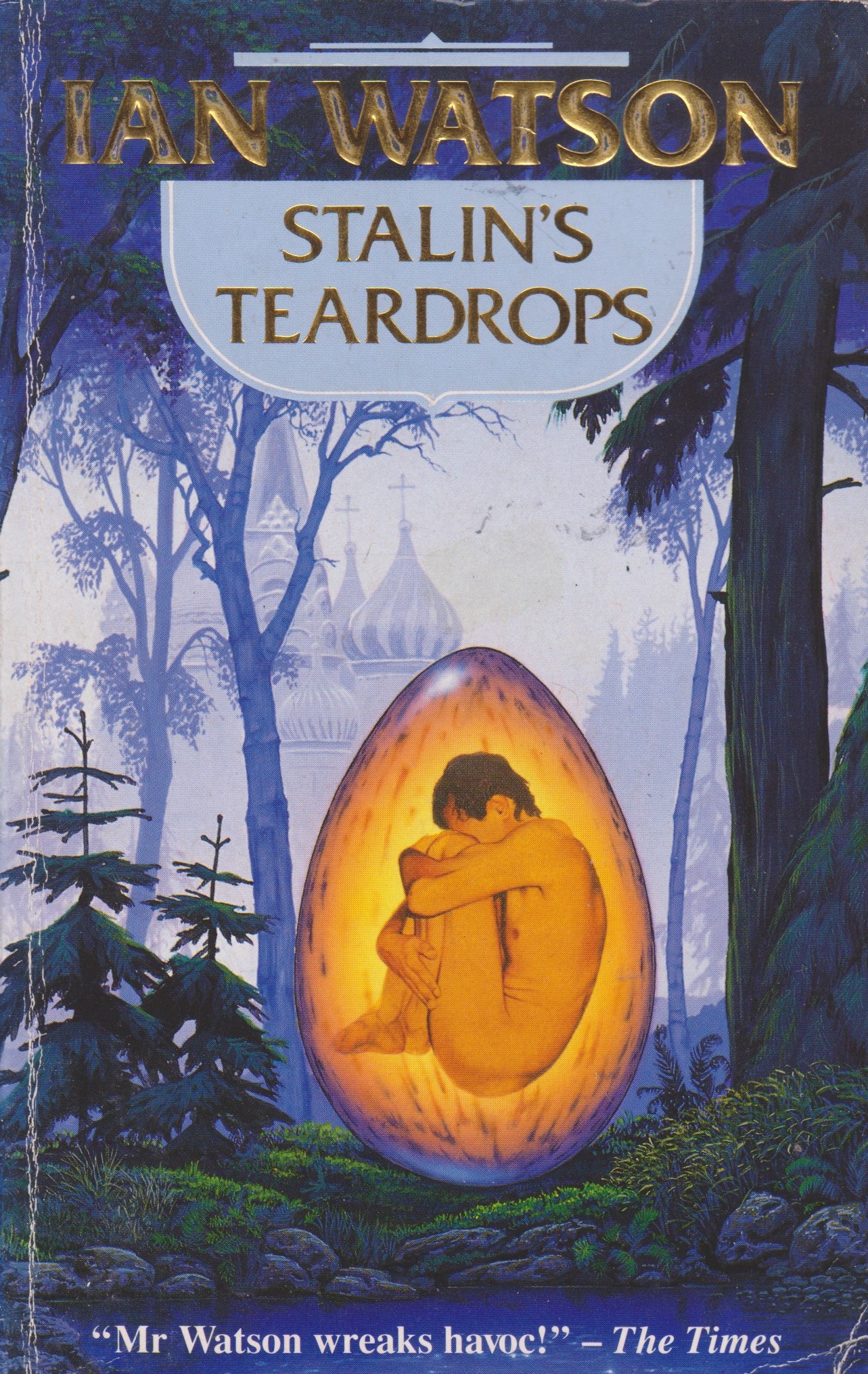 Stalin's Teardrops book cover