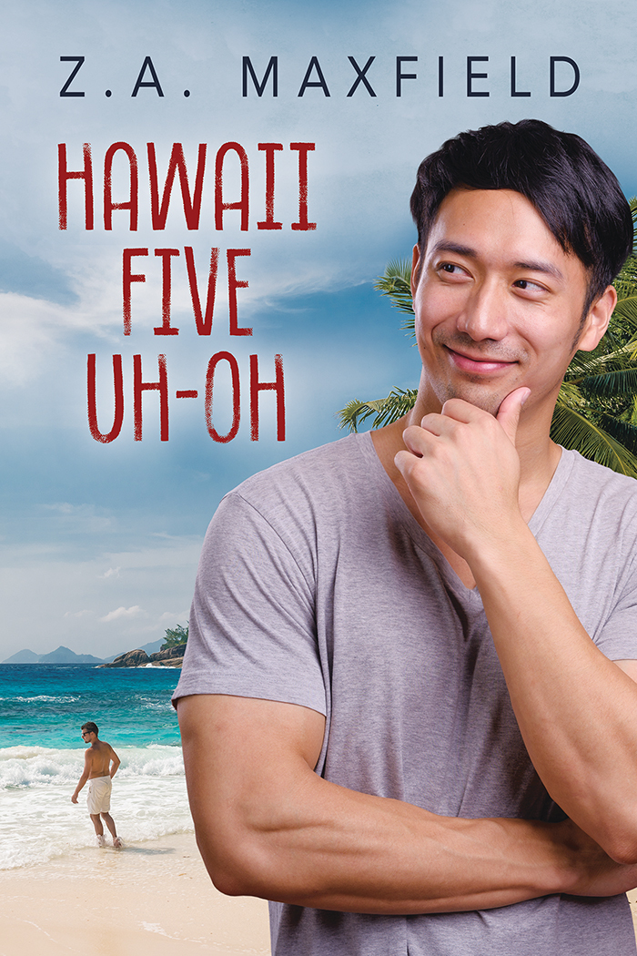 Plummet to Soar book cover 2