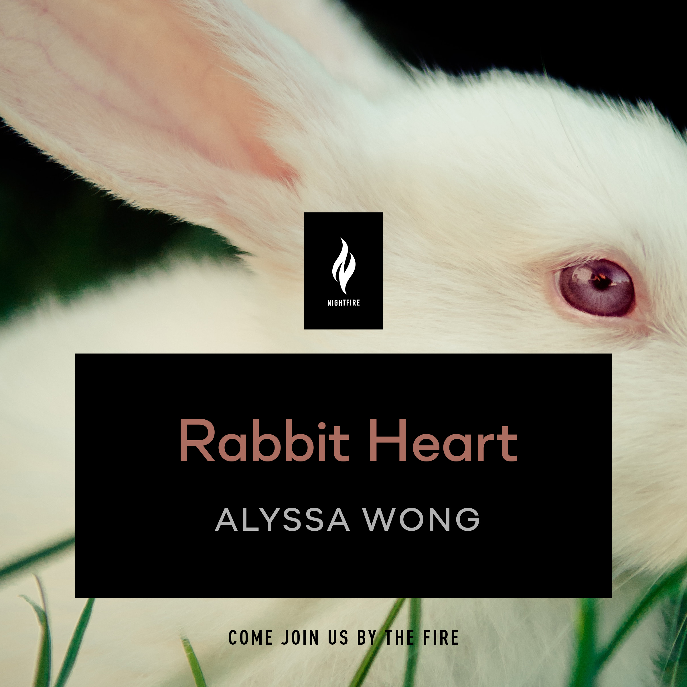 Rabbit Heart book cover