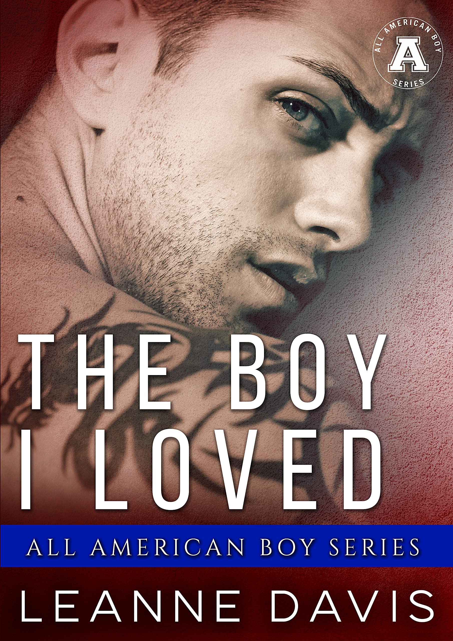 The Boy I Loved book cover