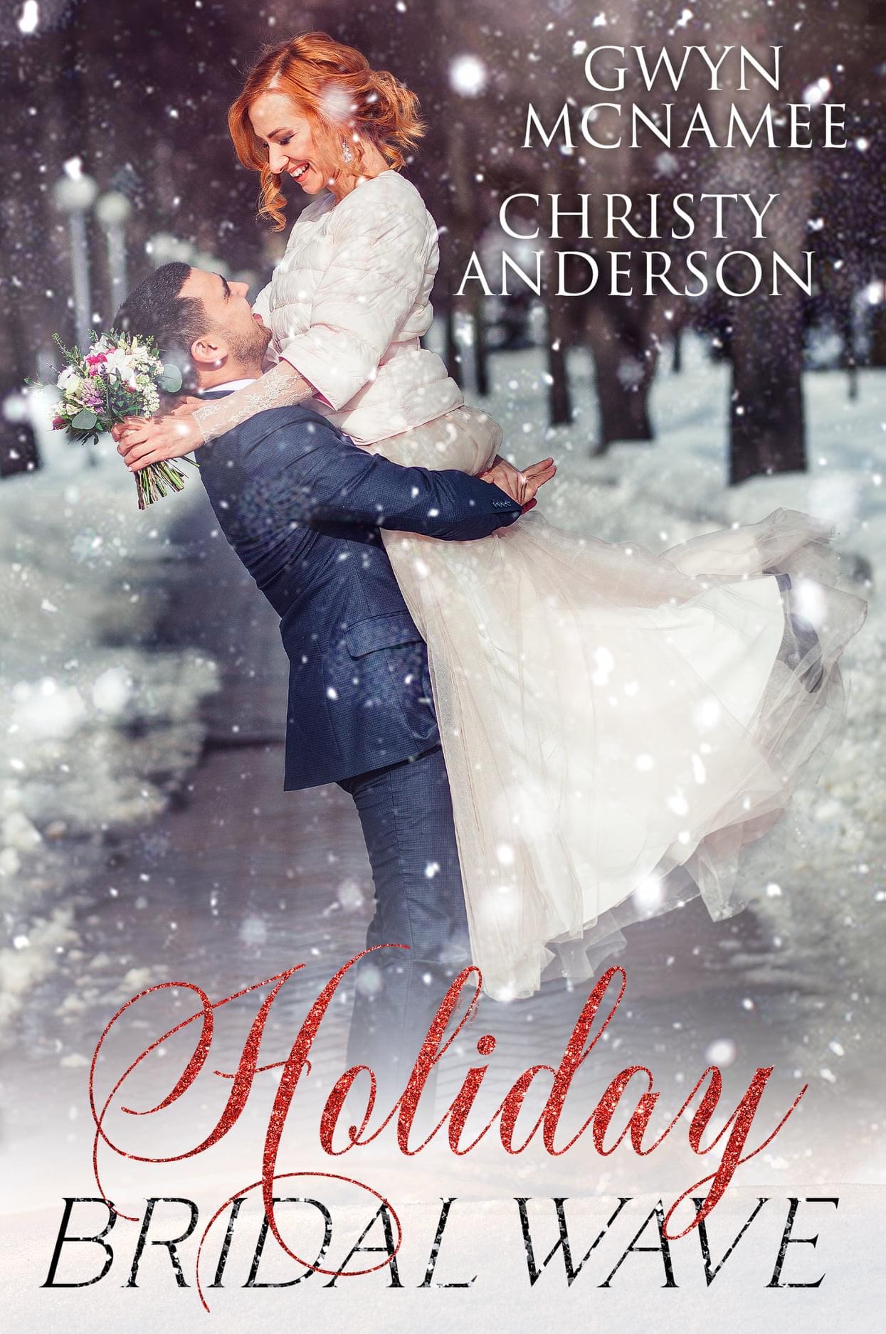 Warren Family Holidays book cover 2