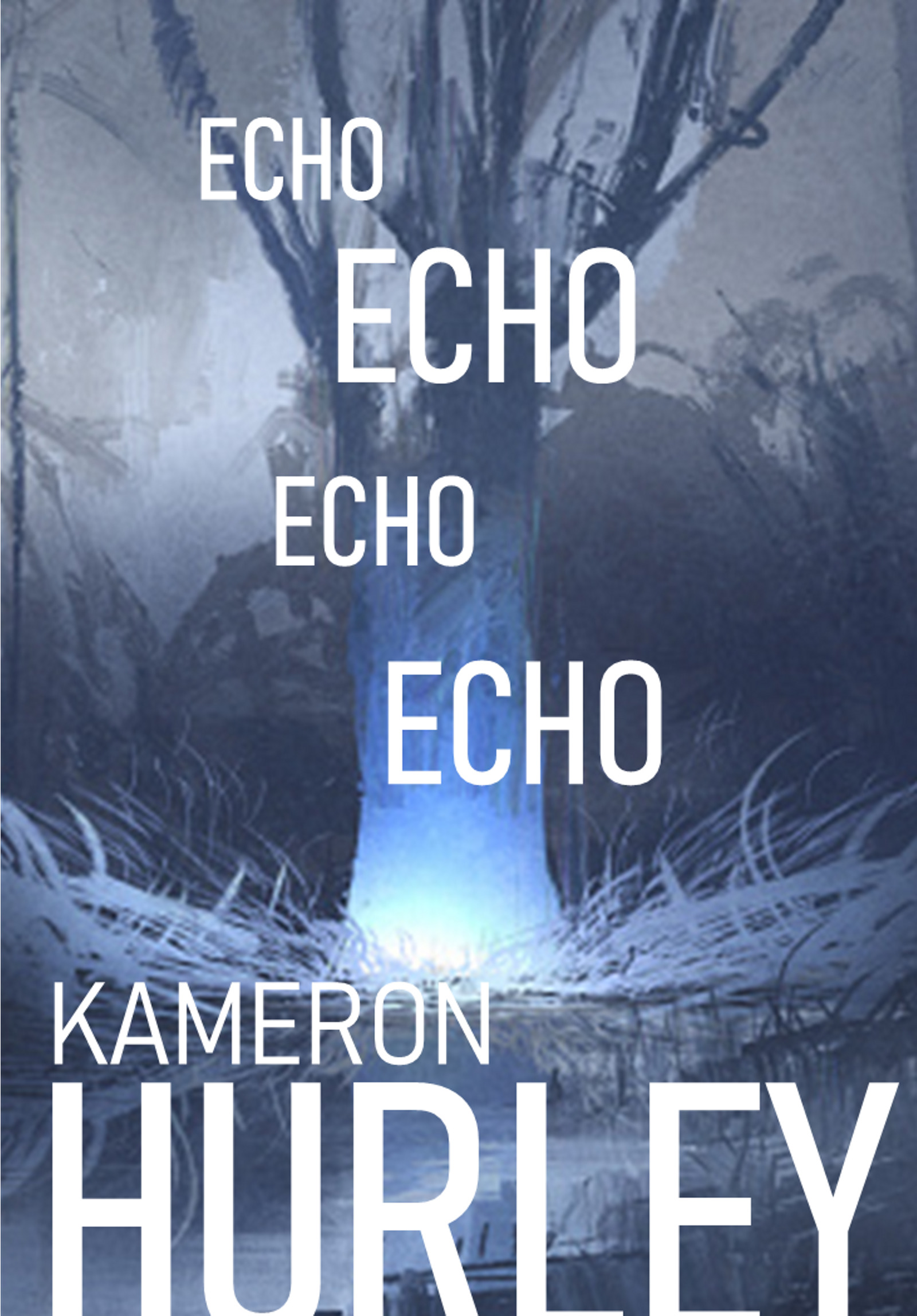 Echo Echo Echo Echo book cover