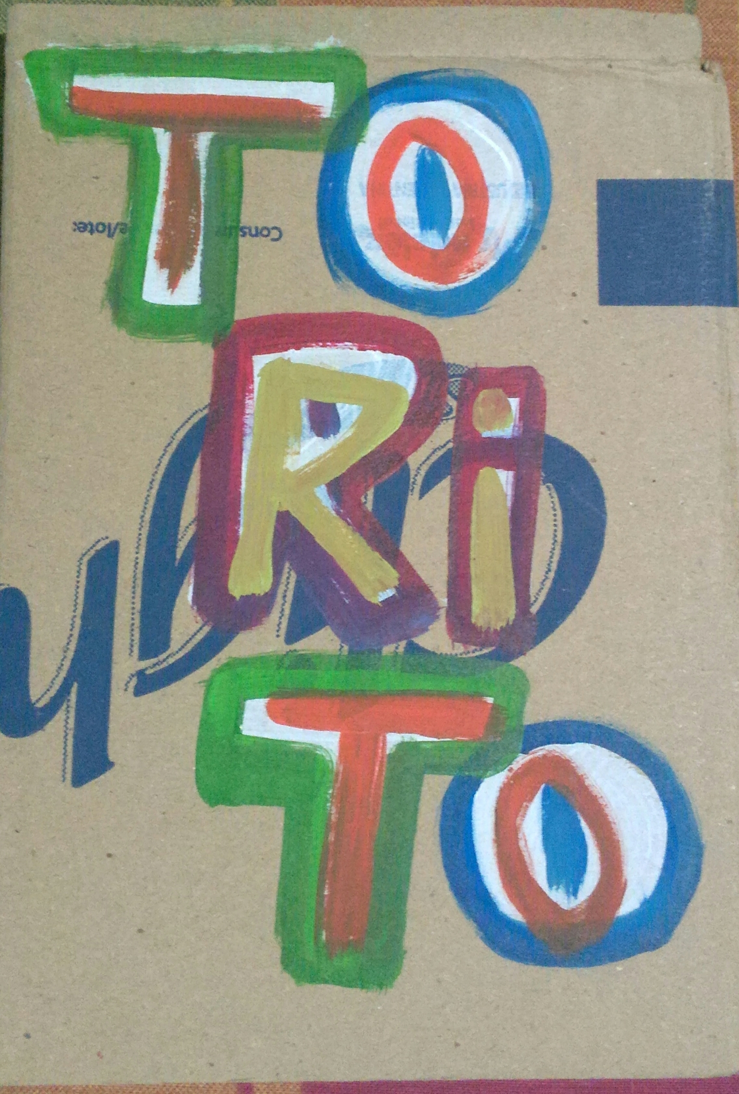 Torito book cover