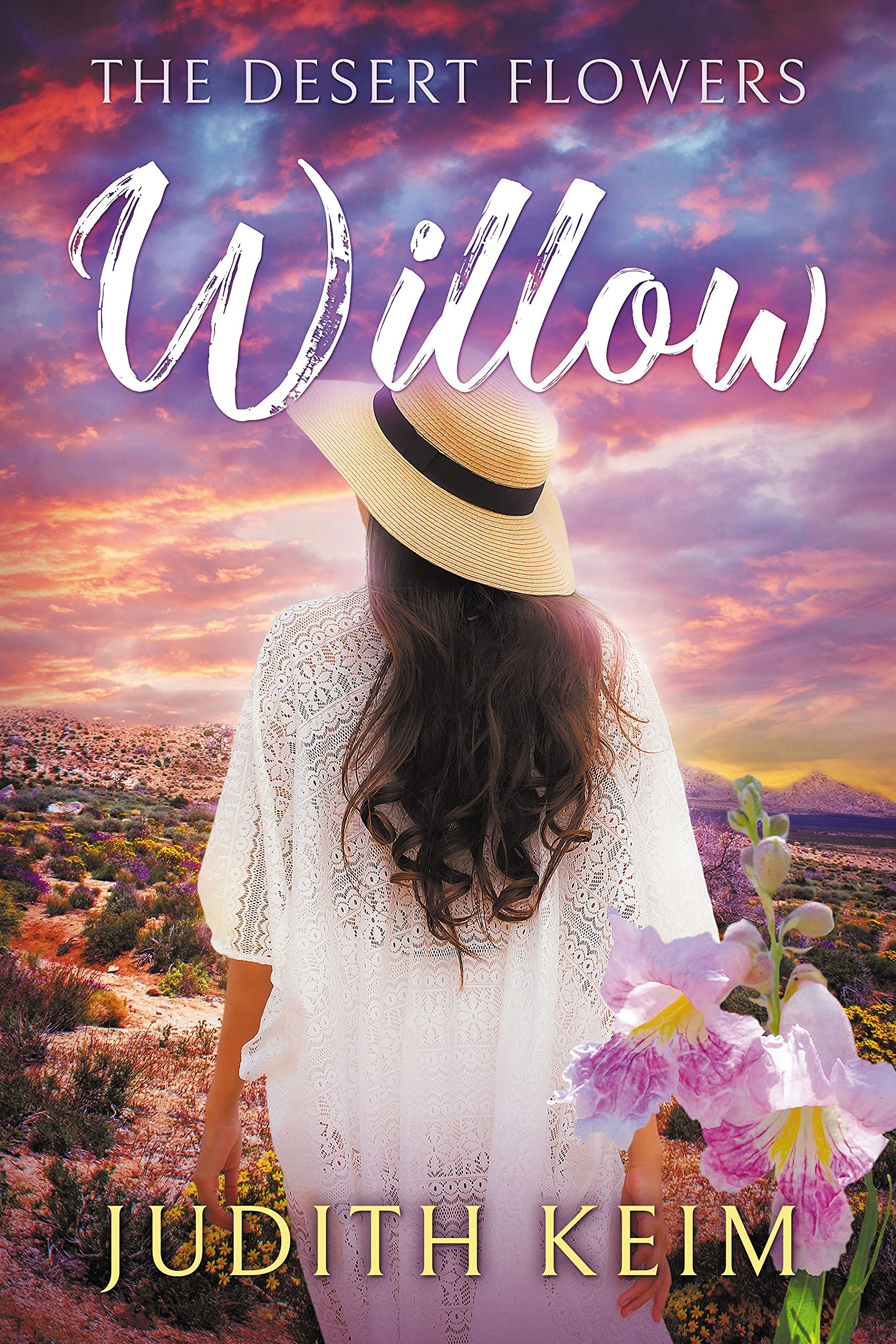 The Desert Sage Inn book cover 3