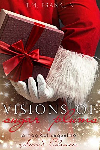 Second Chances book cover 2