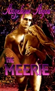 The Meerie book cover