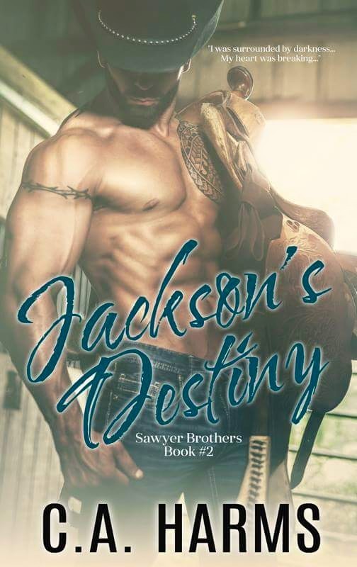 Sawyer Brothers book cover 2