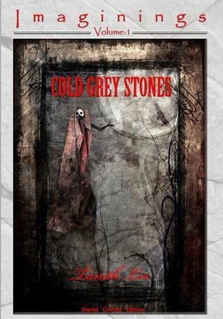 Imaginings series book cover 1