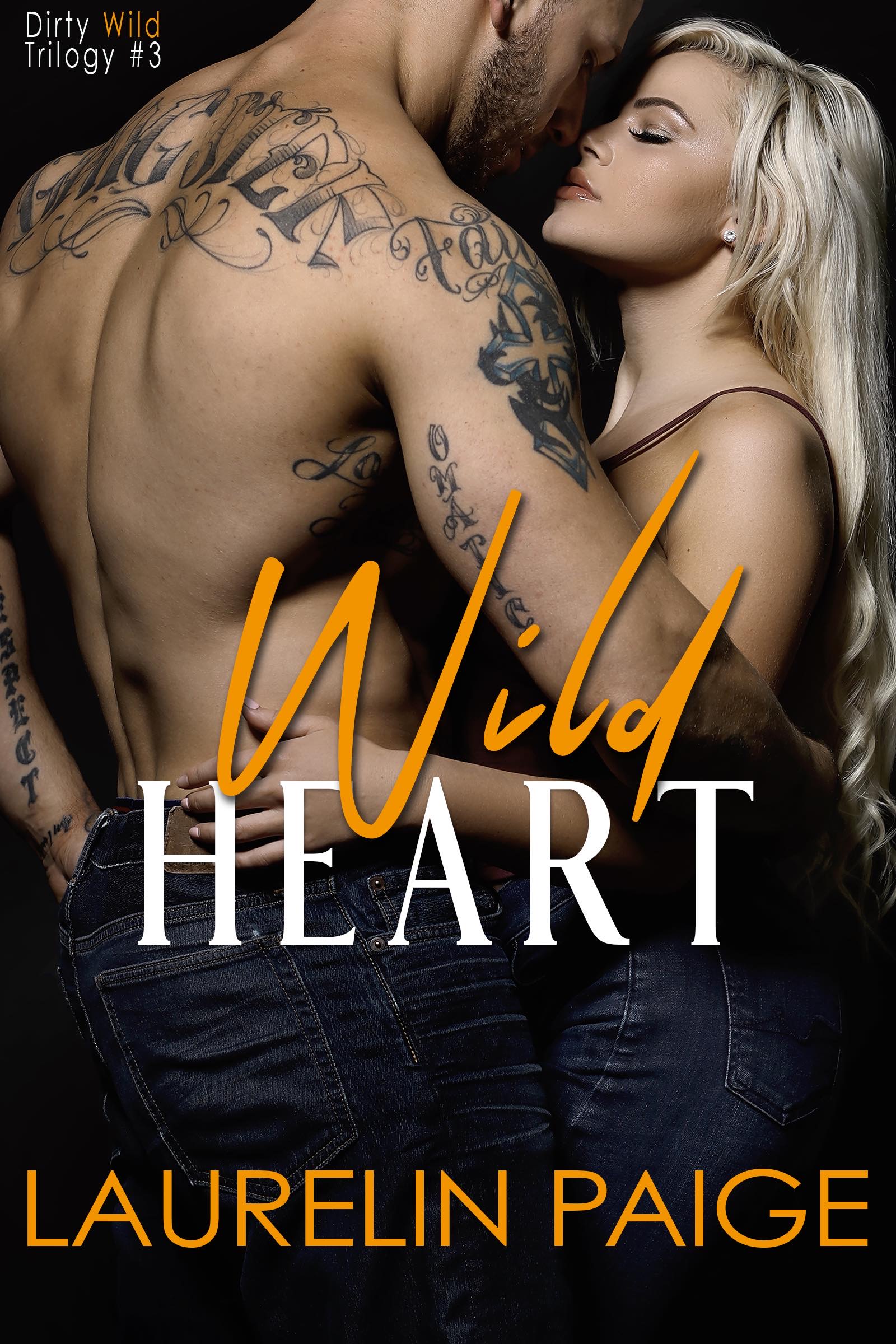 Dirty Wild book cover 3