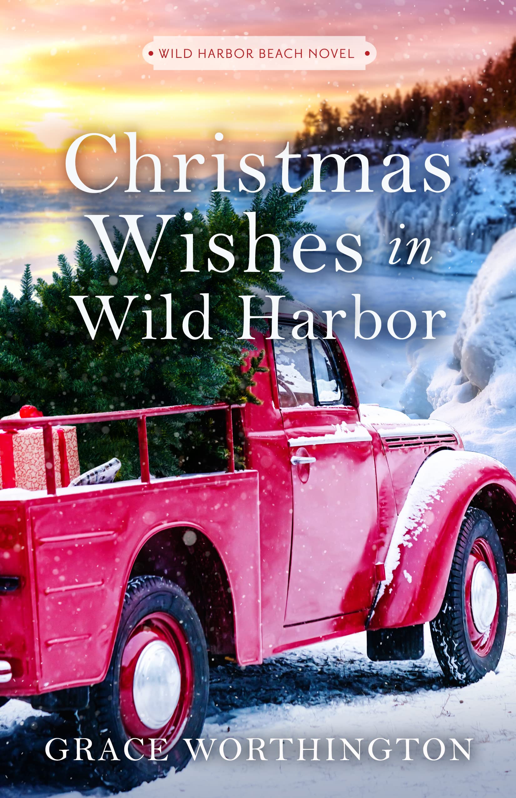 Wild Harbor Beach book cover 3