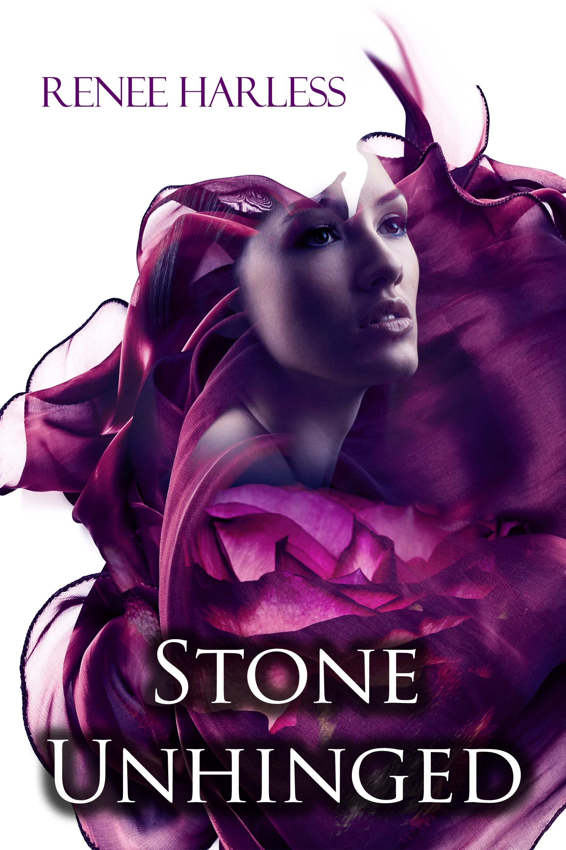 The Stone Trilogy book cover 2