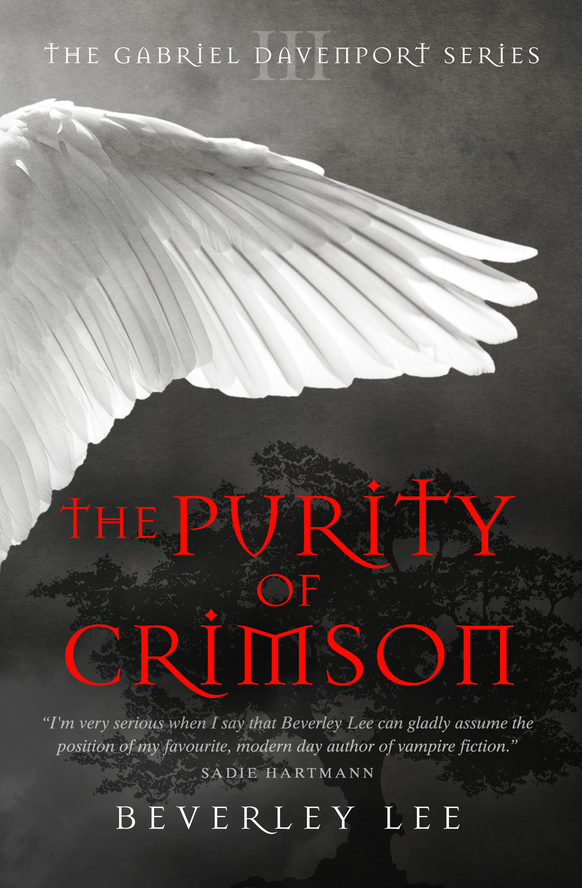 Gabriel Davenport book cover 3