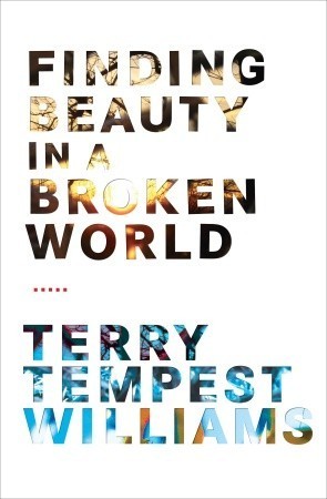 Finding Beauty in a Broken World book cover
