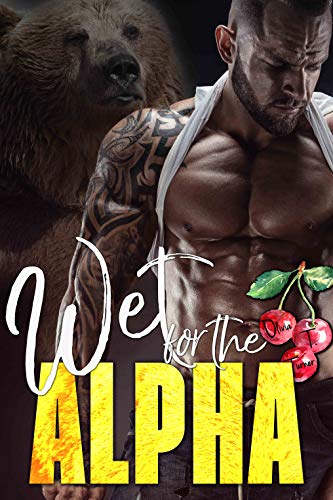 Ridge Brothers Bear Shifters book cover 3