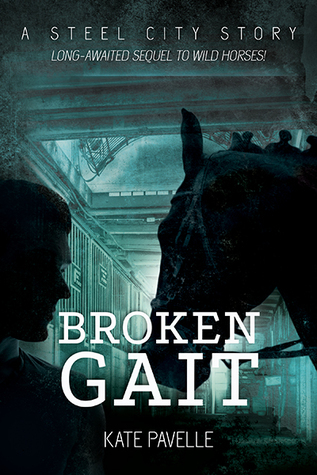 Steel City book cover 3