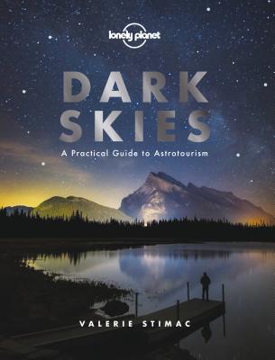 Dark Skies book cover