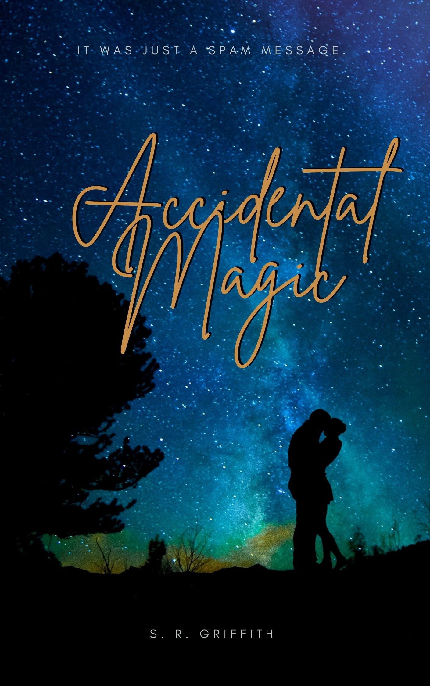 Accidental Magic book cover