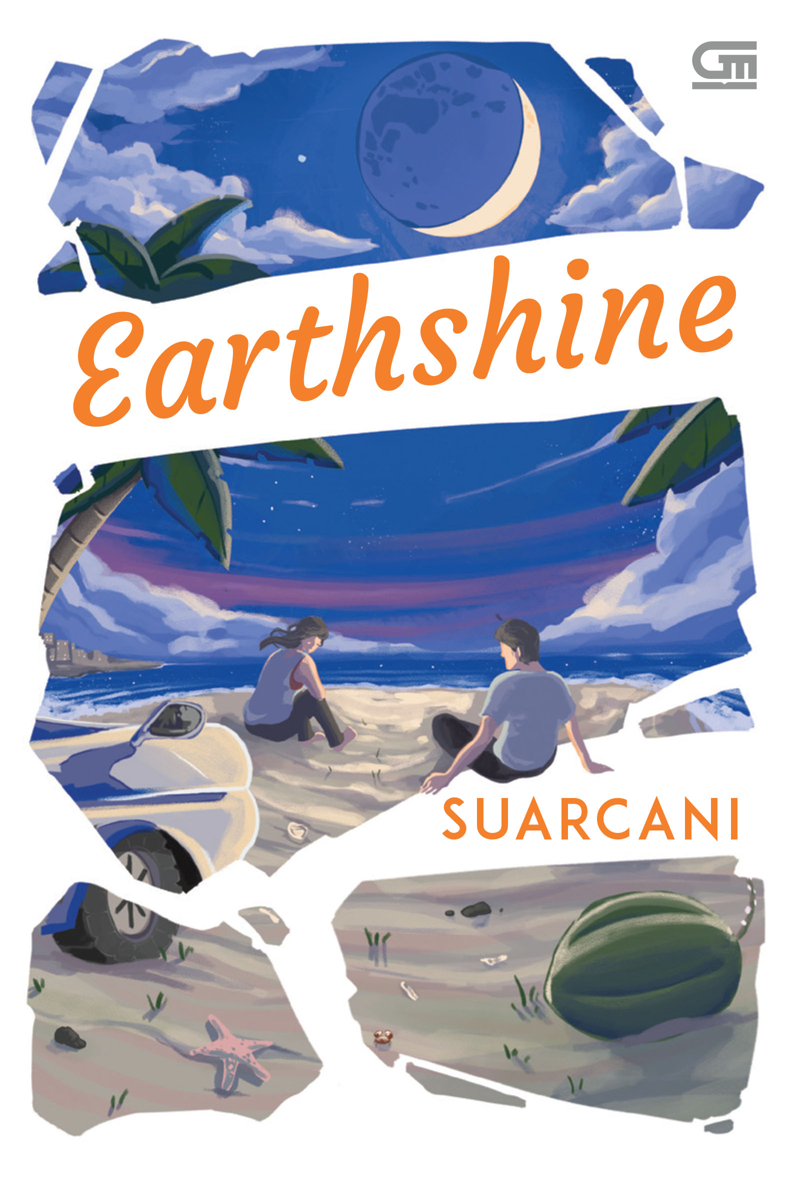 Earthshine book cover