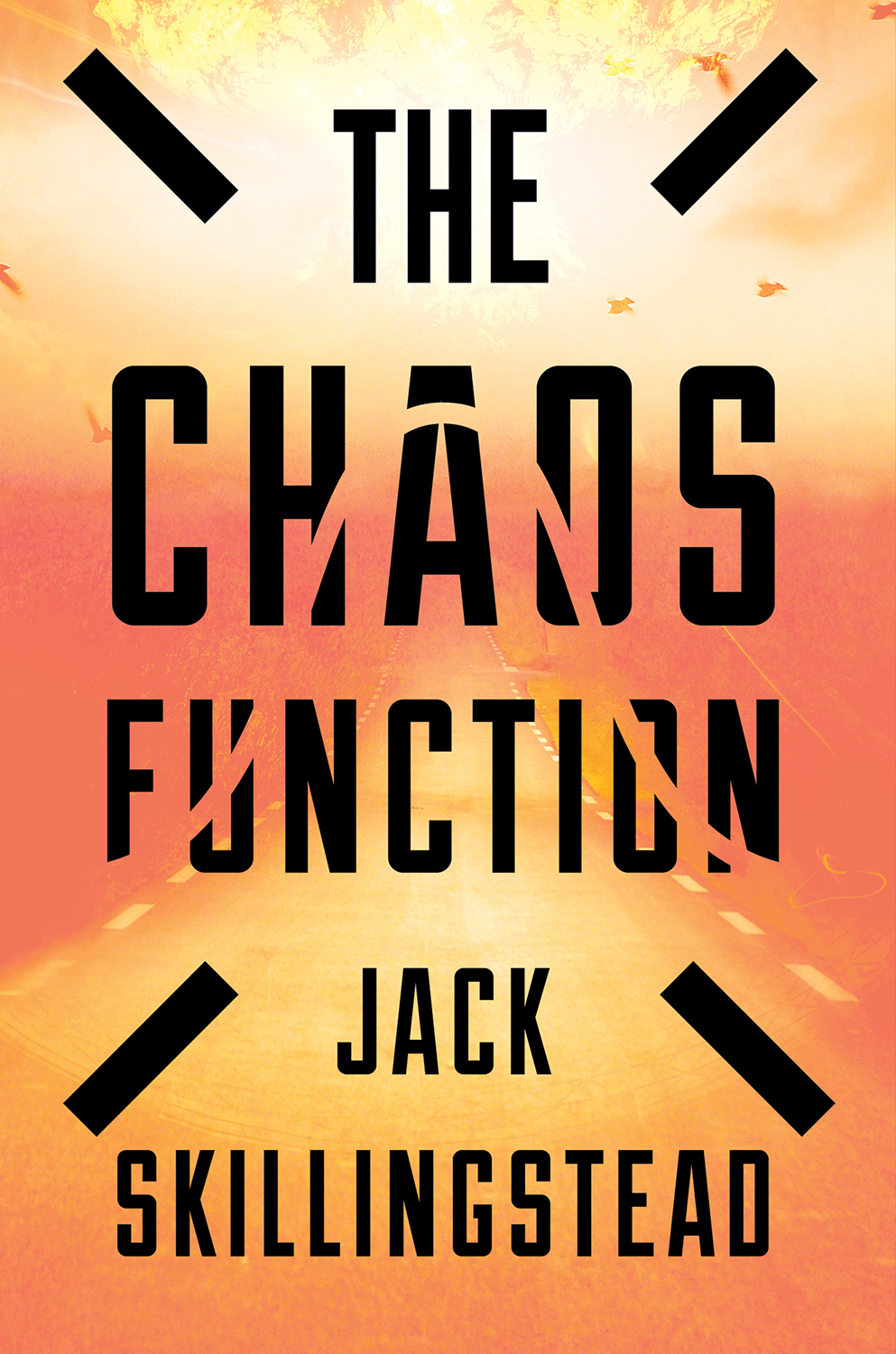 The Chaos Function book cover