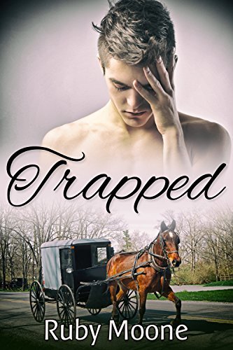 Trapped book cover