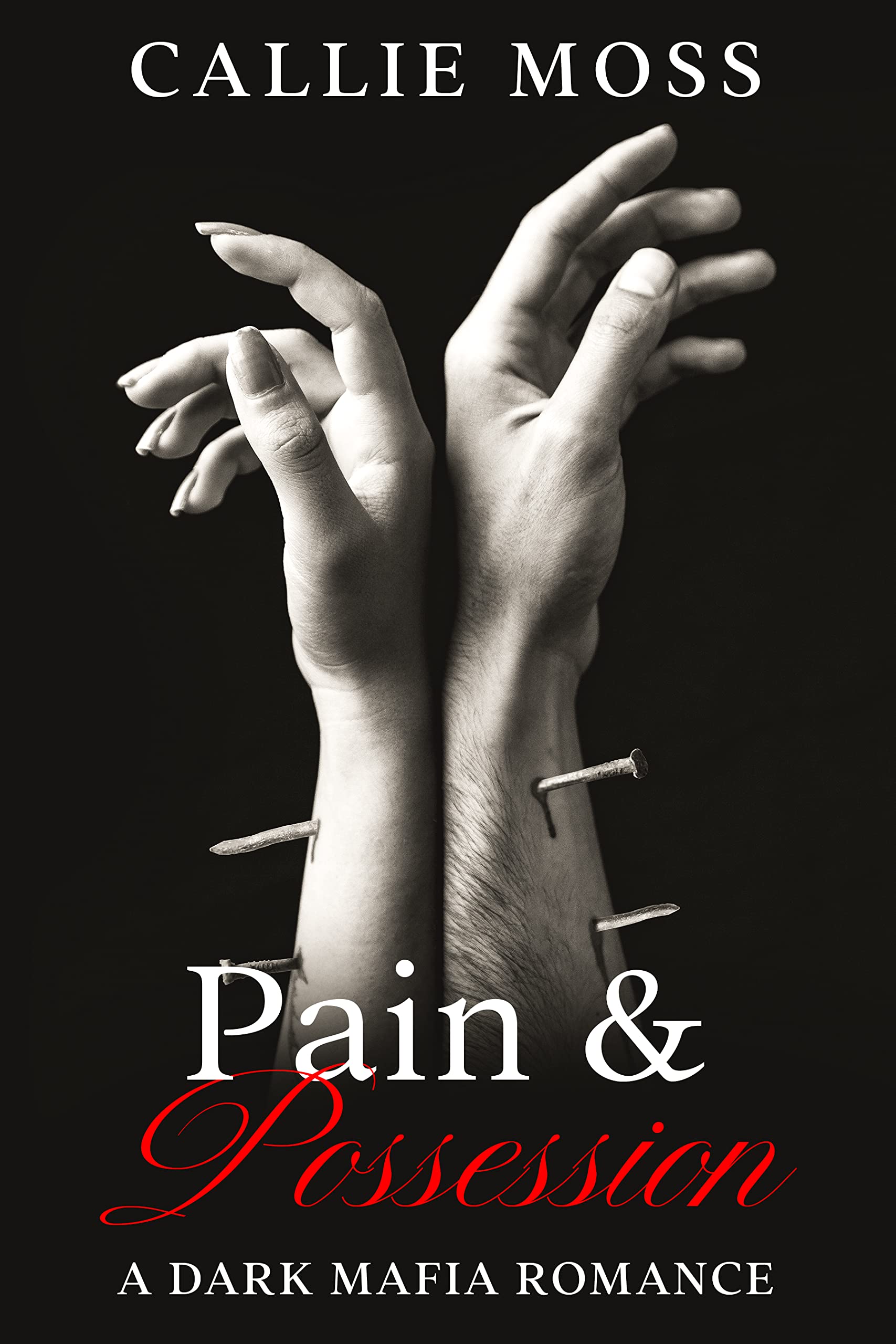 Pain and Possession book cover