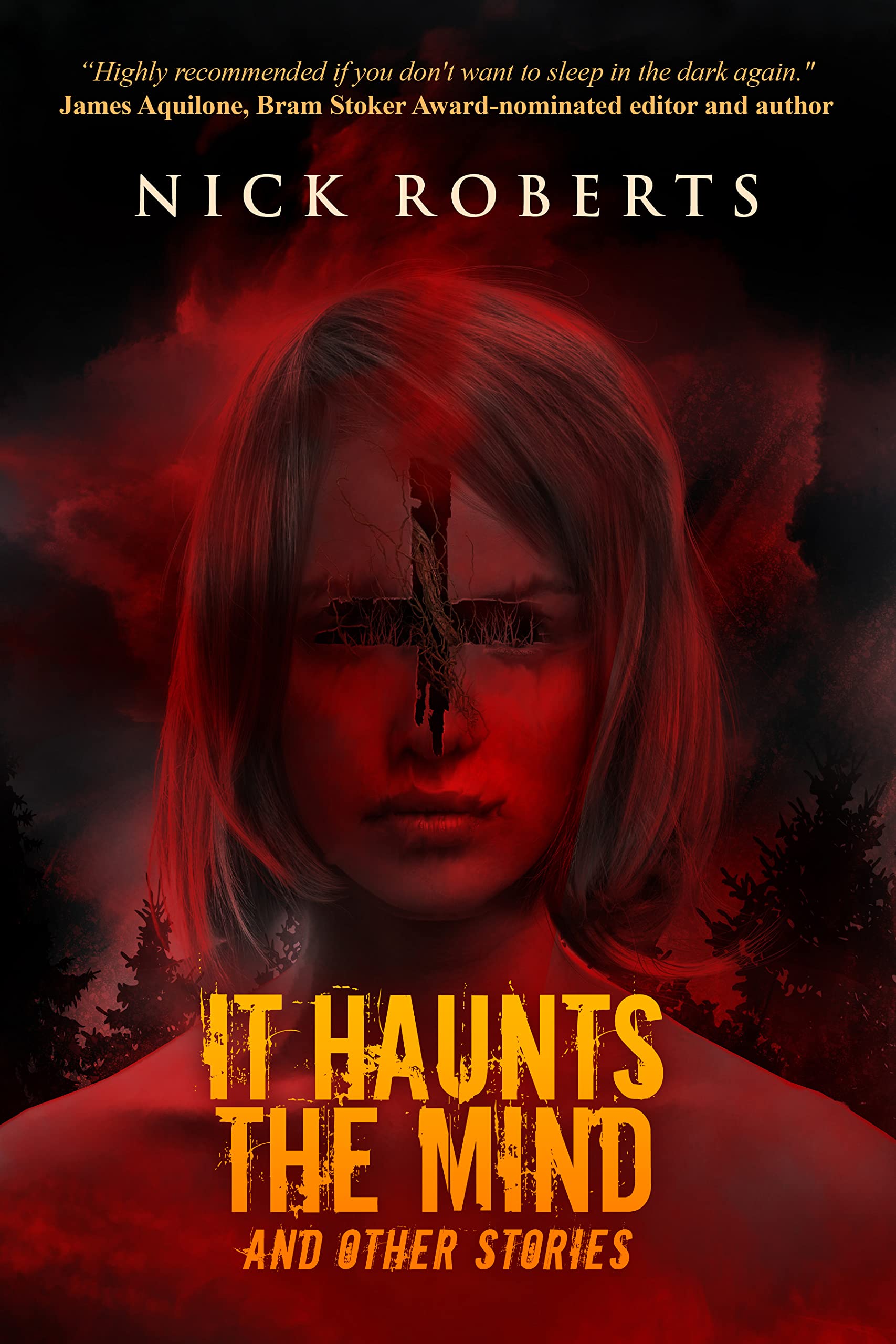 It Haunts the Mind book cover