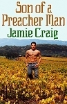 Son Of A Preacher Man book cover