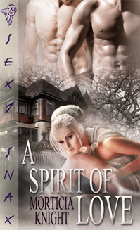 A Spirit of Love book cover