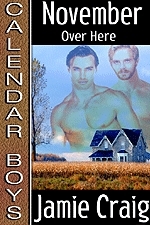 November book cover