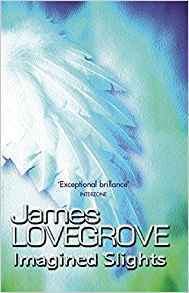 Imagined Slights book cover