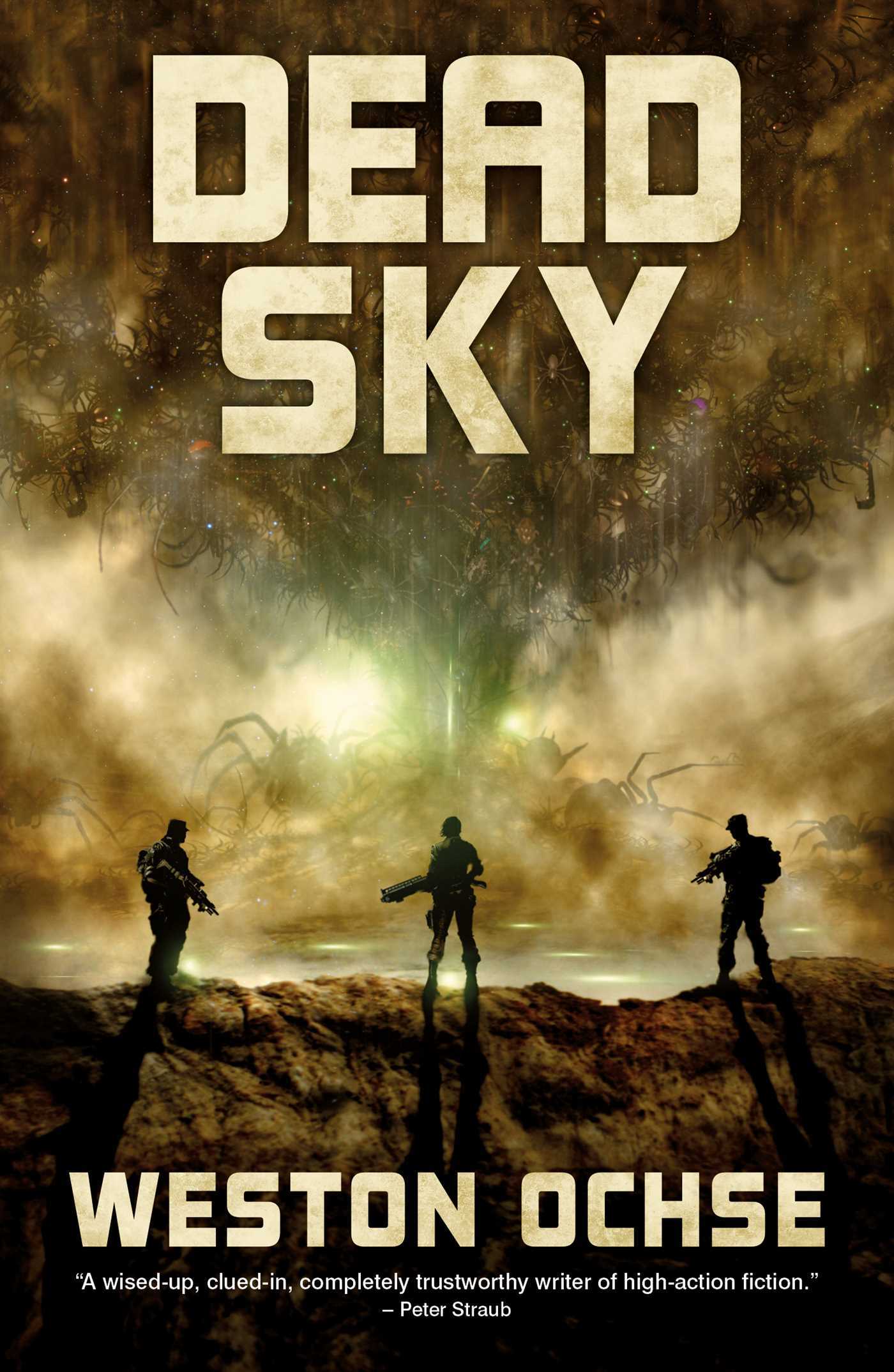 Sky book cover 2