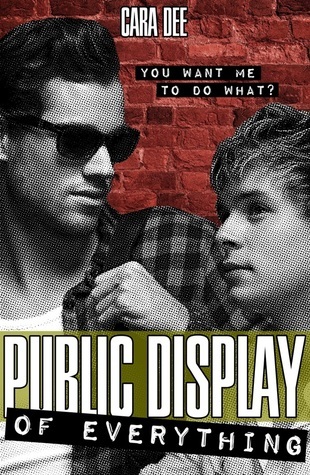 Public Display of Everything book cover