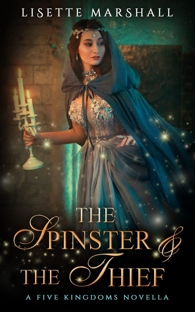 The Spinster and the Thief book cover