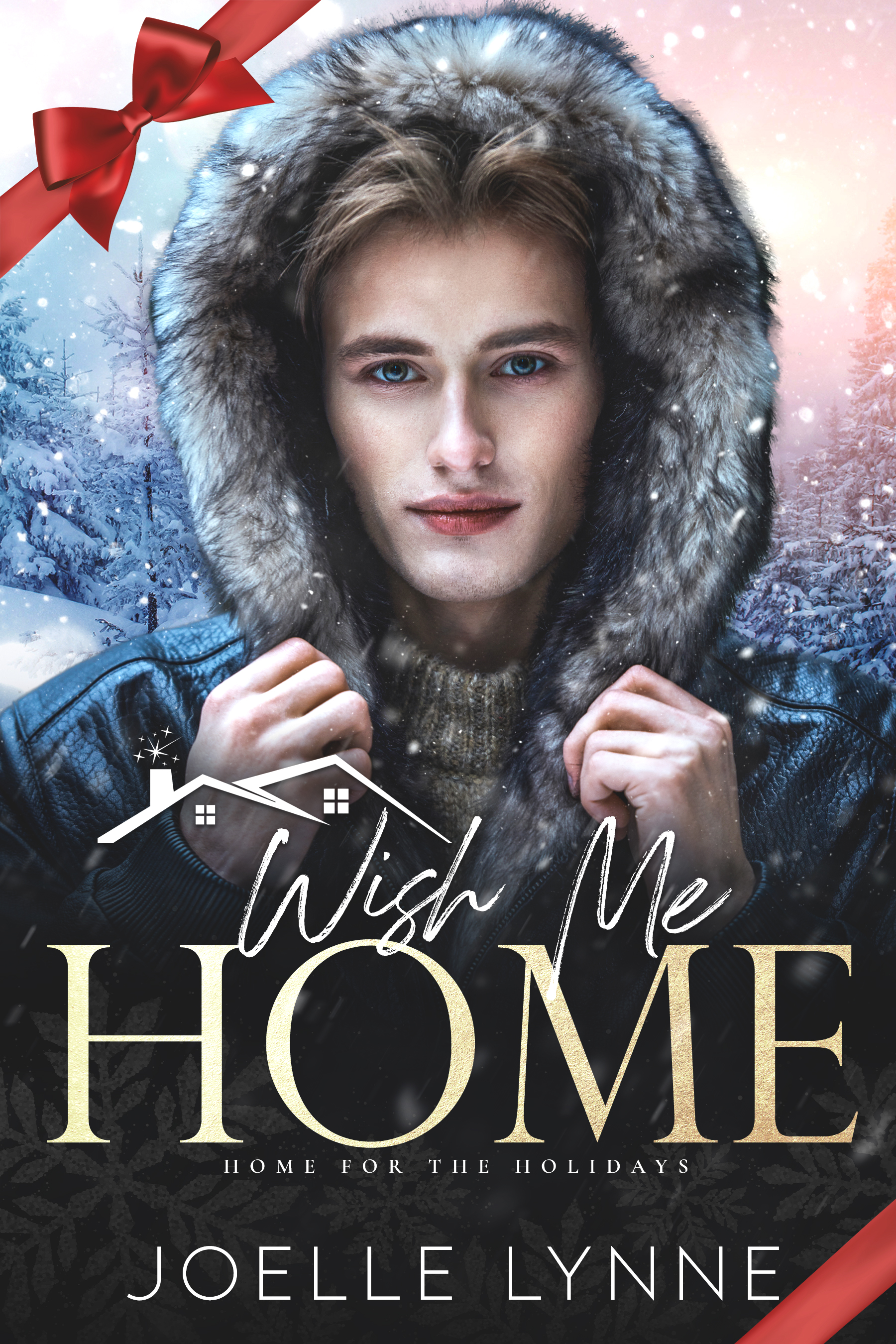 Wish Me Home book cover