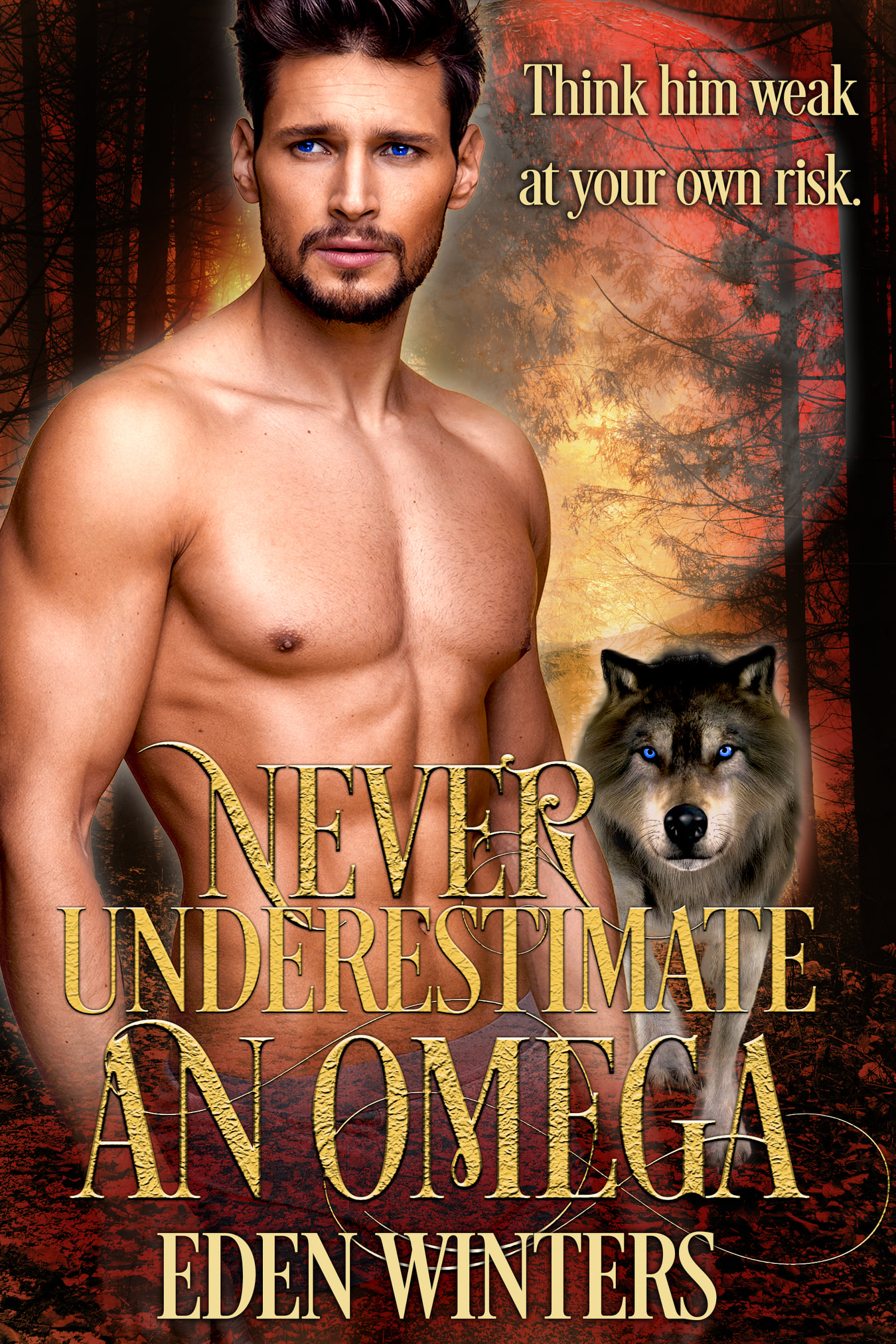 Never Underestimate an Omega book cover