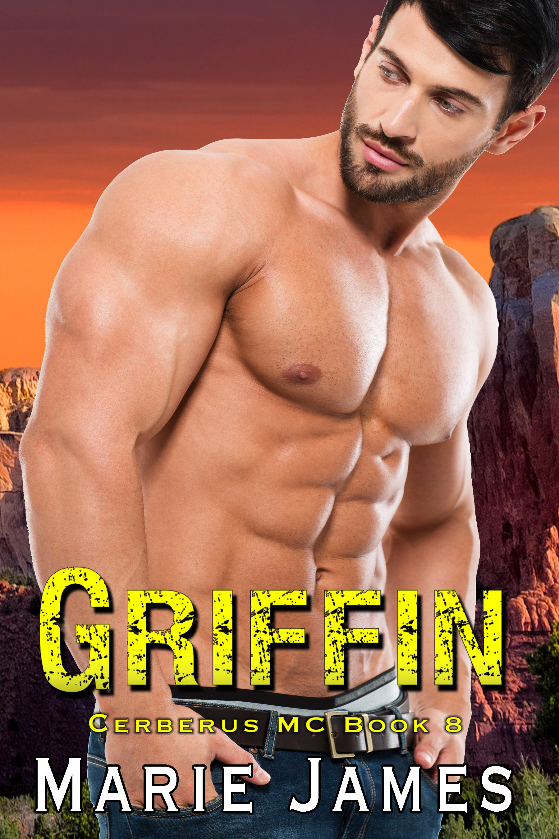 Griffin book cover
