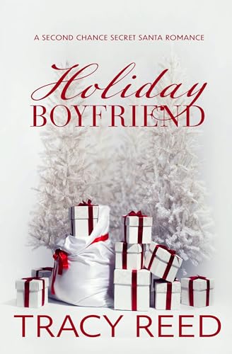 Holiday Boyfriend book cover