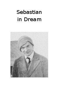 Sebastian in Dream book cover