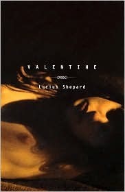 Valentine book cover