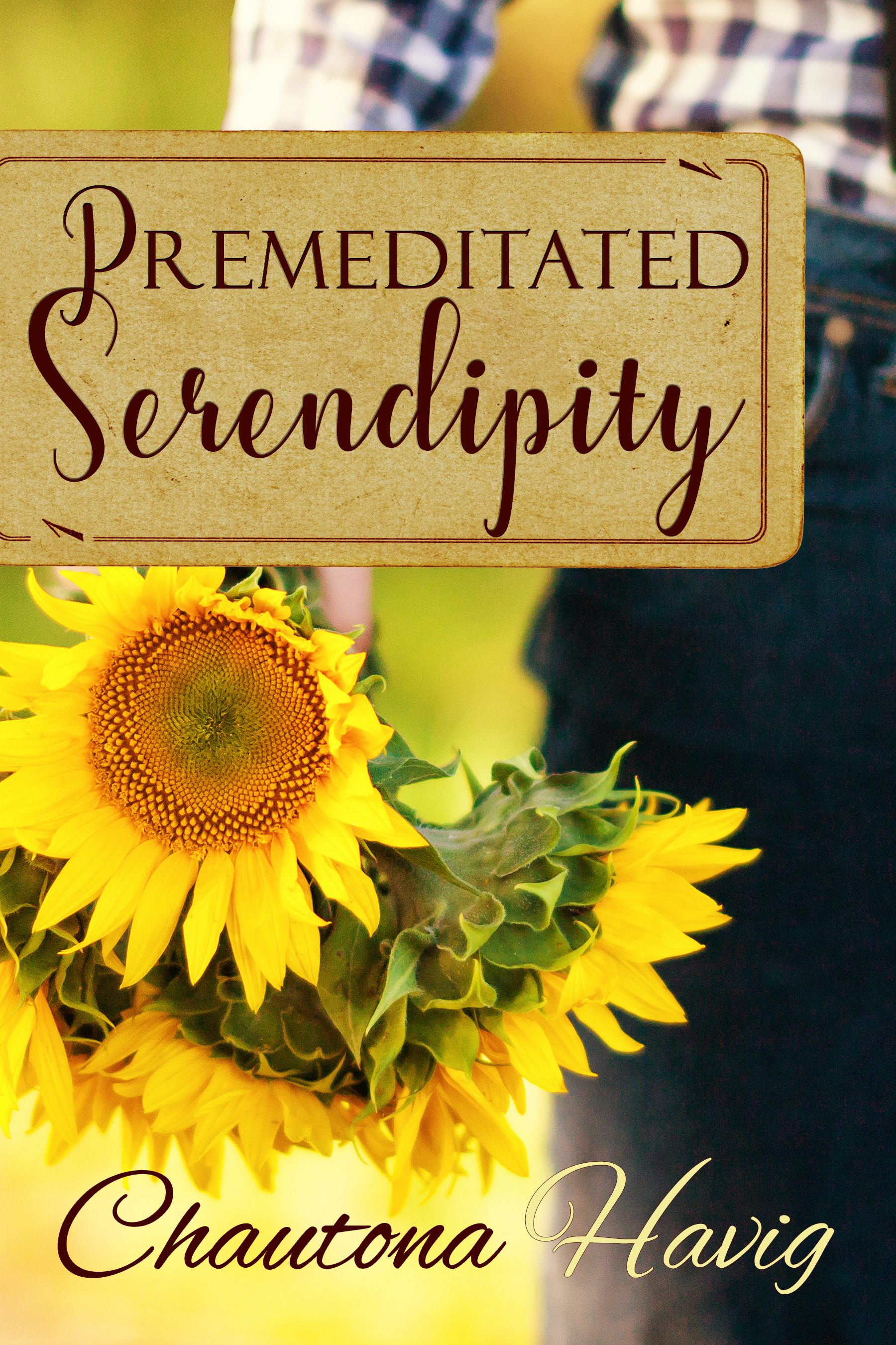 Premeditated Serendipity book cover