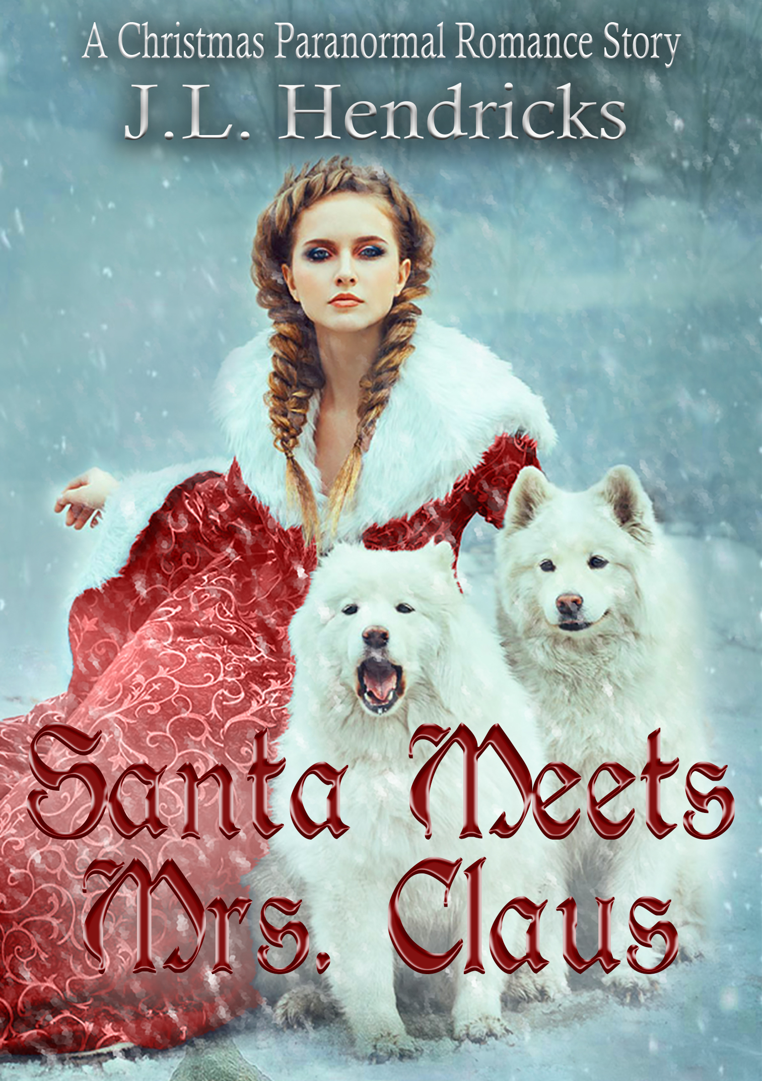 Santa Meets Mrs. Claus book cover
