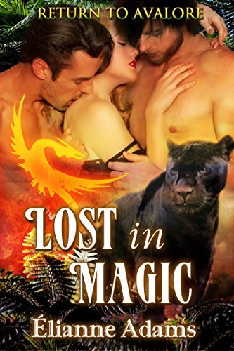 Lost In Magic book cover