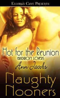 Hot for the Reunion book cover